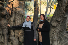 Cultural Tours