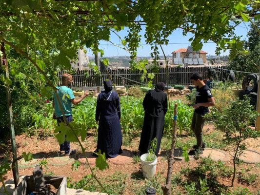 Permaculture training